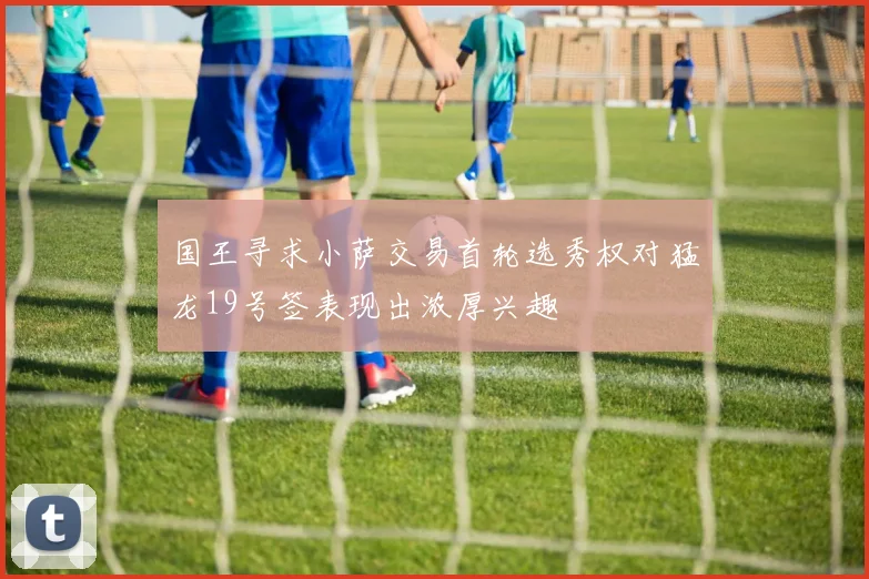 国王寻求小萨交易首轮选秀权对猛龙19号签表现出浓厚兴趣
