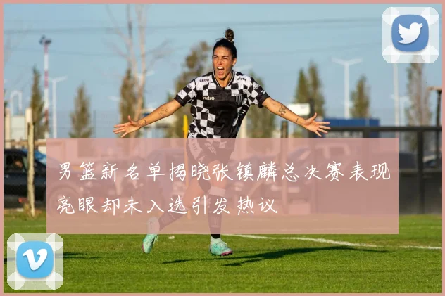 男篮新名单揭晓张镇麟总决赛表现亮眼却未入选引发热议
